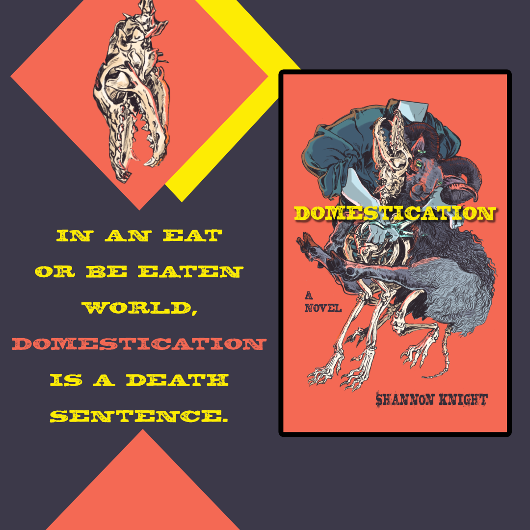 "In an eat or be eaten world, domestication is a death sentence" is written in distressed font on a green background with yellow and red shapes over it. Above the words is a skull that doesn't match any natural creature. To one side is the cover of Domestication by Shannon Knight. Cover illustration by Savanna Mayer. Illustration is in a comic style with rough lines and bright colors. A headless form holds shears next to a ram with curling horns and wavy wool. A skeleton emerges from the sheep. However, the skeleton is of a wolf-like creature. The typography is in a distressed, Western font, yellow on a red background.