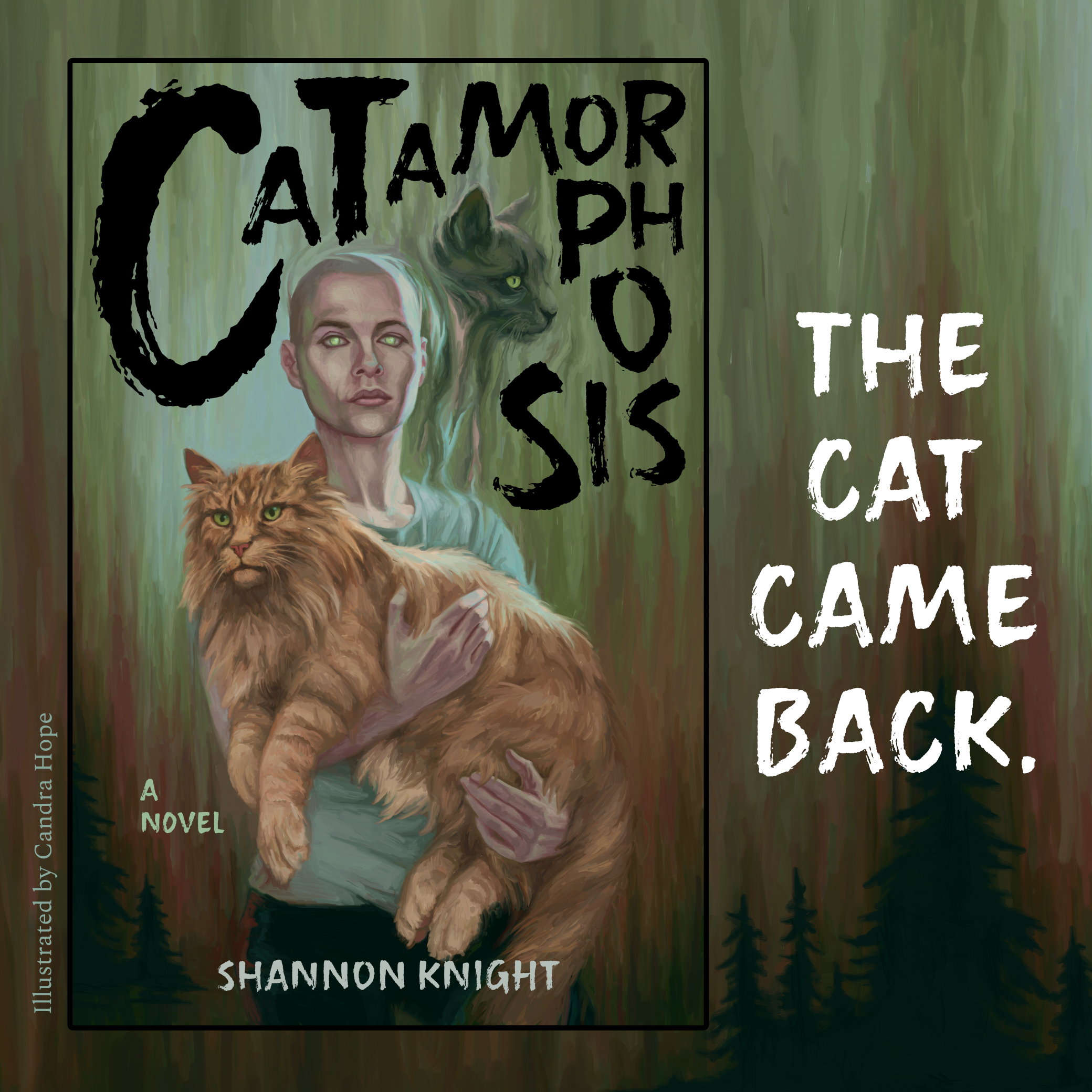 Book cover of Catamorphosis by Shannon Knight. Illustrated by Candra Hope. The Cat Came Back.
